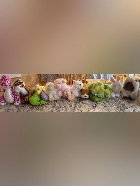 Webkinz Bundle